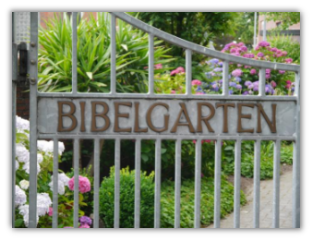 Bibelgarten Werlte